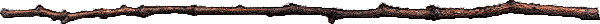 twig.gif (3605 bytes)